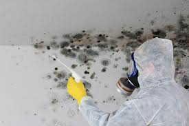 Best Asbestos and Lead Testing During Mold Inspection  in USA